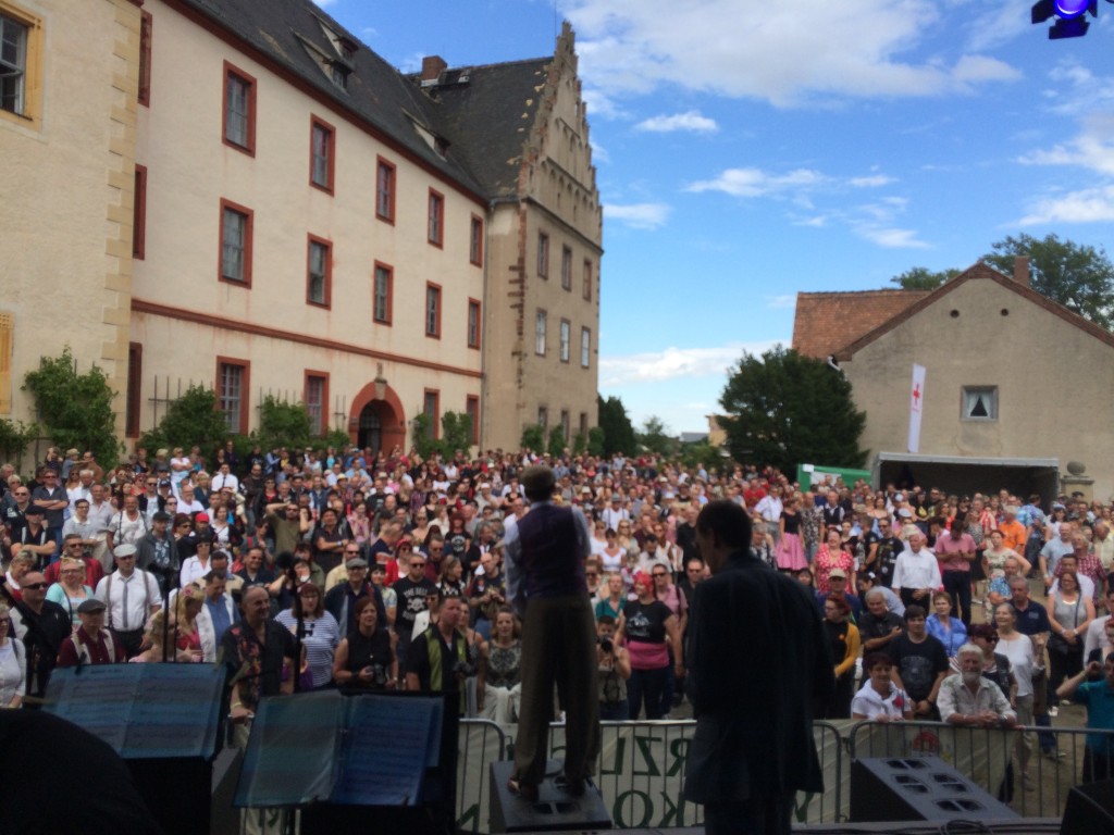 Firebirds Festival, Schloss Trebsen